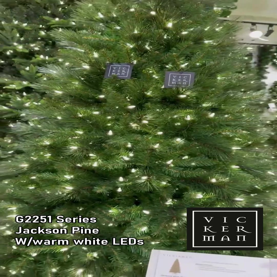 G225182LED - Jackson Pine Christmas Tree | Vickerman