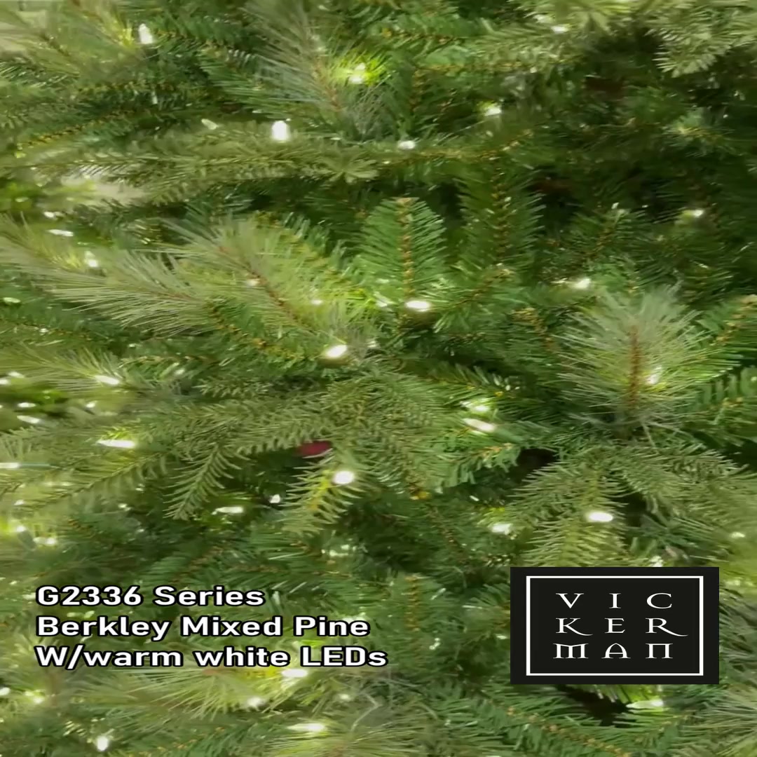 乾燥くるみ樹皮2kg 。　8-013 G233665 - Berkley Mixed Pine Christmas Tree | Vickerman