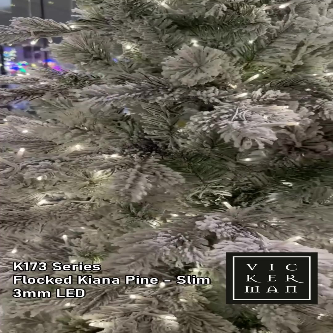 K173181LED - Flocked Kiana Pine Christmas Tree | Vickerman