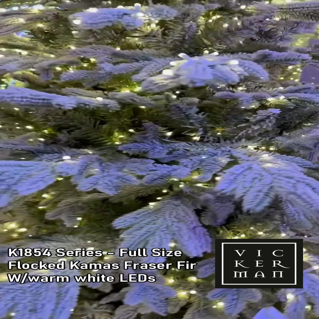 K185446LED - Flocked Kamas Fraiser Fir Christmas Tree