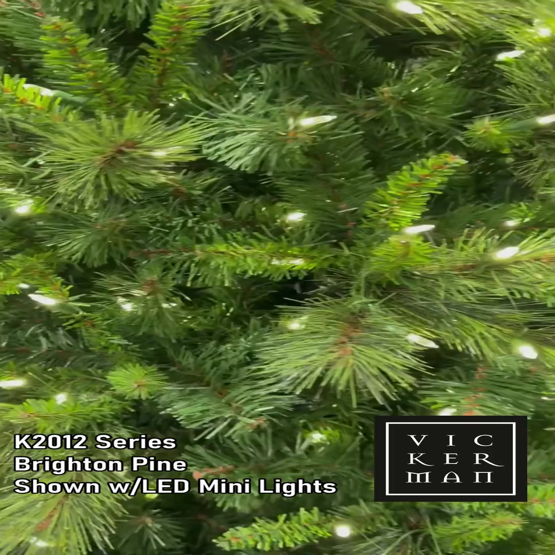 K201280 - Brighton Pine Christmas Tree | Vickerman