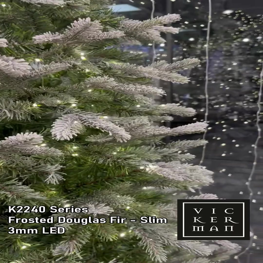 K224081LED - Douglas Fir Christmas Tree | Vickerman