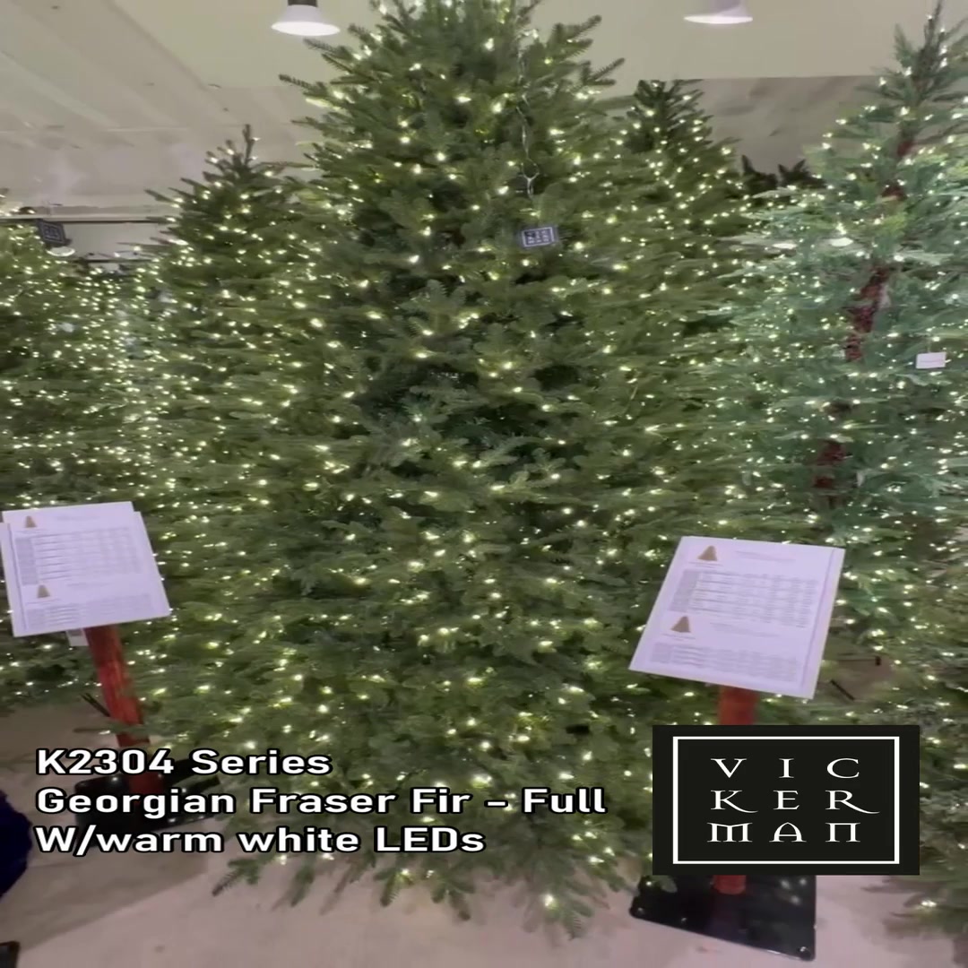 K230486LED - Georgian Fraser Fir Christmas Tree | Vickerman