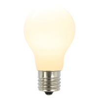 A19 Ceramic Replacement Bulb