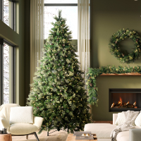 Vickerman Top Christmas Trees