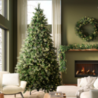 Emerald Mixed Fir Christmas tree in room